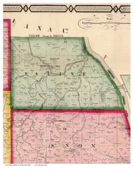 Saline, Ohio 1856 Old Town Map Custom Print - Jefferson Co.