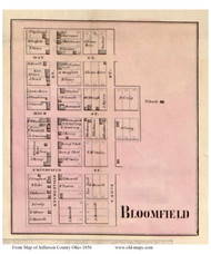 Bloomfield - Wayne, Ohio 1856 Old Town Map Custom Print - Jefferson Co.