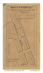 Miltonsburg - Malaga, Ohio 1869 Old Town Map Custom Print - Monroe Co.