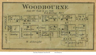 Woodbourne - Washington, Ohio 1869 Old Town Map Custom Print - Montgomery Co.