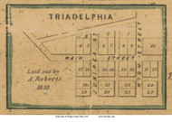Tridelphia - Deerfield, Ohio 1854 Old Town Map Custom Print - Morgan Co.