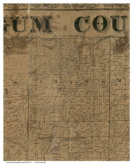 Adams, Ohio 1852 Old Town Map Custom Print - Muskingum Co.