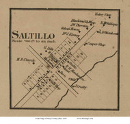 Saltillo - Clayton, Ohio 1859 Old Town Map Custom Print - Perry Co.