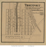 Thornport - Thorn, Ohio 1859 Old Town Map Custom Print - Perry Co.