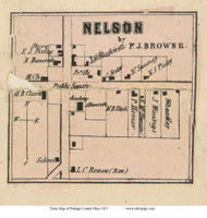 Nelson Village - Nelson, Ohio 1857 Old Town Map Custom Print - Portage Co.