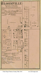 Bloomville - Bloom, Ohio 1864 Old Town Map Custom Print - Seneca Co.
