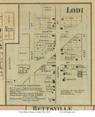 Lodi - Reed, Ohio 1864 Old Town Map Custom Print - Seneca Co.