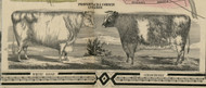 Lebanon_Corwin Cattle (1) - Warren Co., Ohio 1856 Old Town Map Custom Print - Warren Co.