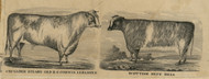 Lebanon_Corwin Cattle (2) - Warren Co., Ohio 1856 Old Town Map Custom Print - Warren Co.