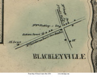 Blacheyville - Plain, Ohio 1856 Old Town Map Custom Print - Wayne Co.