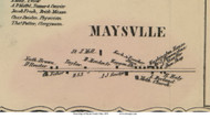 Mayville - Salt Creek, Ohio 1856 Old Town Map Custom Print - Wayne Co.