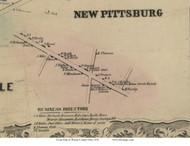 New Pittsburg - Chester, Ohio 1856 Old Town Map Custom Print - Wayne Co.