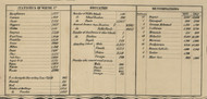 Statistics - Wayne Co., Ohio 1856 Old Town Map Custom Print - Wayne Co.