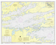 Rainy Lake - Dry Weed Island Big Island 1976 Minnesota-Ontario Border Lakes Nautical Chart Reprint Great Lakes 8 - 821