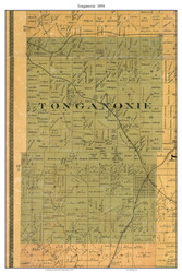 Tonganoxie, Kansas 1894 Old Town Map Custom Print - Leavenworth Co.