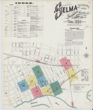 Selma, Alabama 1893 - Old Map Alabama Fire Insurance Index