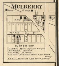 Mulberry Village, Madison, Indiana 1865 Old Town Map Custom Print - Boone & Clinton Co.