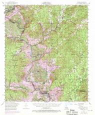 Negreet, Louisiana 1954 (1970) USGS Old Topo Map Reprint 15x15 TX Quad 334857