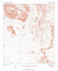 Borrego, Texas 1942 (1976) USGS Old Topo Map Reprint 15x15 TX Quad 105926