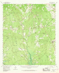 Bronson, Texas 1958 (1969) USGS Old Topo Map Reprint 15x15 TX Quad 105960