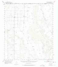 Dell City, Texas 1951 (1975) USGS Old Topo Map Reprint 15x15 TX Quad 109179