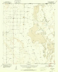 Dell City, Texas 1951 (1952) USGS Old Topo Map Reprint 15x15 TX Quad 109181