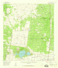 La Sal Vieja, Texas 1956 (1959) USGS Old Topo Map Reprint 15x15 TX Quad 110159