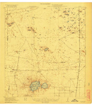 La Sal Vieja, Texas 1922 () USGS Old Topo Map Reprint 15x15 TX Quad 128457