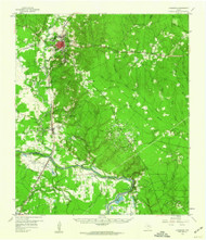 Livingston, Texas 1958 (1960) USGS Old Topo Map Reprint 15x15 TX Quad 109259