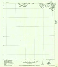 Los Ebanos, Texas 1956 () USGS Old Topo Map Reprint 15x15 TX Quad 109351