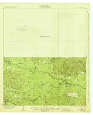Manning, Texas 1932 () USGS Old Topo Map Reprint 15x15 TX Quad 128522