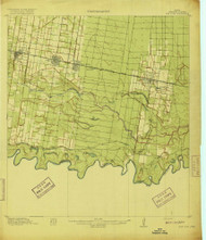 San Juan, Texas 1916 () USGS Old Topo Map Reprint 15x15 TX Quad 128436