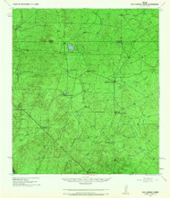 San Lorenzo Creek, Texas 1940 (1967) USGS Old Topo Map Reprint 15x15 TX Quad 111349