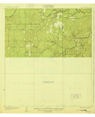 Calliham, Texas 1929 () USGS Old Topo Map Reprint 15x15 TX Quad 128496