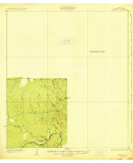 Whitsett, Texas 1930 () USGS Old Topo Map Reprint 15x15 TX Quad 137605