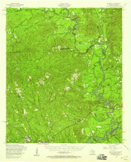 Wiergate, Texas 1954 (1958) USGS Old Topo Map Reprint 15x15 TX Quad 117179