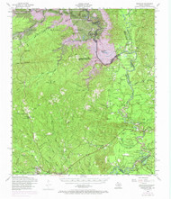 Wiergate, Texas 1954 (1970) USGS Old Topo Map Reprint 15x15 TX Quad 117180