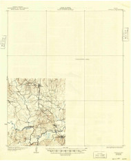 Zavalla, Texas 1931 (1949) USGS Old Topo Map Reprint 15x15 TX Quad 117339