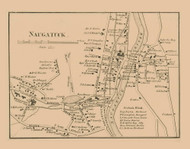Naugatuck Village, Connecticut 1856 New Haven Co. - Old Map Custom Print