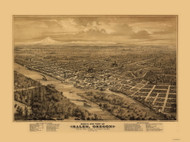 Salem, Oregon 1876 Bird's Eye View