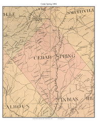 Cedar Spring, South Carolina 1894 Old Town Map Custom Print - Abbeville Co.