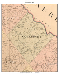 Cokesbury, South Carolina 1894 Old Town Map Custom Print - Abbeville Co.