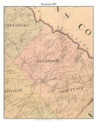 Greenwood, South Carolina 1894 Old Town Map Custom Print - Abbeville Co.