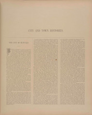 Cities & Town History, New York 1880 - Old Town Map Reprint - Erie Co. Atlas 11