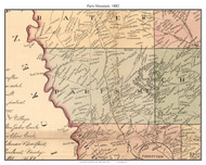 Paris Mountain, South Carolina 1882 Old Town Map Custom Print - Greenville Co.