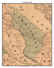 Carmichael, South Carolina 1882 Old Town Map Custom Print - Marion Co.