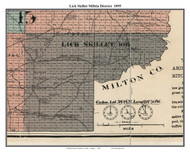 Lick Skillet, Georgia 1895 Old Town Map Custom Print - Cherokee Co.