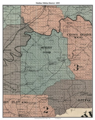 Mullins, Georgia 1895 Old Town Map Custom Print - Cherokee Co.