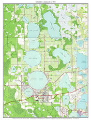 Auburndale & Ariana Lake ca 1944 - Custom USGS Old Topo Map - Florida