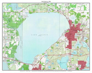 Lake Eustis 1966 - Custom USGS Old Topo Map - Florida